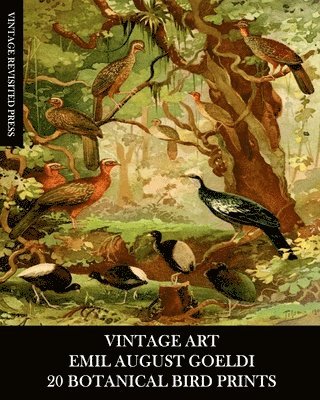 bokomslag Vintage Art: Emil August Goeldi: 20 Botanical Bird Prints: Ephemera for Framing, Home Decor, Collage and Decoupage