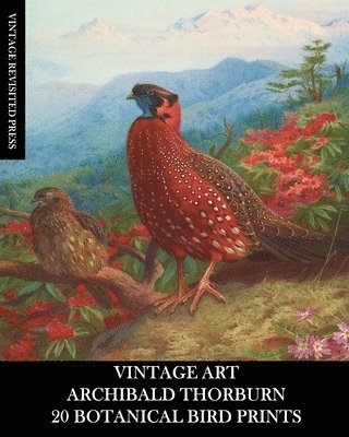 bokomslag Vintage Art: Archibald Thorburn: 20 Botanical Bird Prints: Ephemera for Framing, Home Decor, Collage and Decoupage