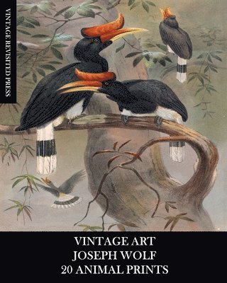 bokomslag Vintage Art: Joseph Wolf: 20 Animal Prints: Zoology Ephemera for Framing, Home Decor, Collage and Decoupage