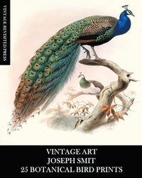 bokomslag Vintage Art: Joseph Smit: 25 Botanical Bird Prints: Ornithology Ephemera for Framing, Home Decor, Collage and Decoupage