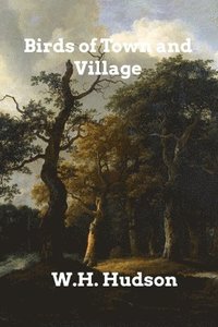 bokomslag Birds Of Town And Village