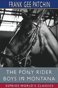 bokomslag The Pony Rider Boys In Montana  Esprios