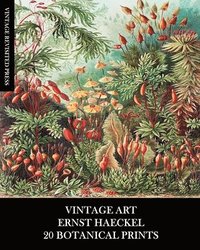 bokomslag Vintage Art: Ernst Haeckel: 20 Botanical