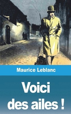 bokomslag Voici Des Ailes !