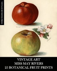 bokomslag Vintage Art: Miss May Rivers: 25 Botanic