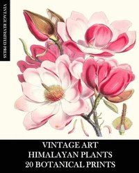 bokomslag Vintage Art: Himalayan Plants 20 Botanic