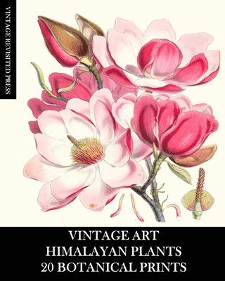bokomslag Vintage Art: Himalayan Plants 20 Botanic
