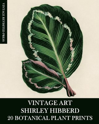 Vintage Art: Shirley Hibberd 20 Botanica 1
