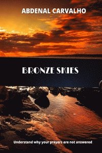 bokomslag Bronze Skies