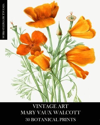bokomslag Vintage Art: Mary Vaux Walcott 30 Botani