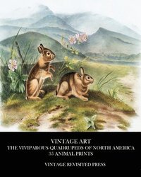 bokomslag Vintage Art: The Viviparous Quadrupeds O