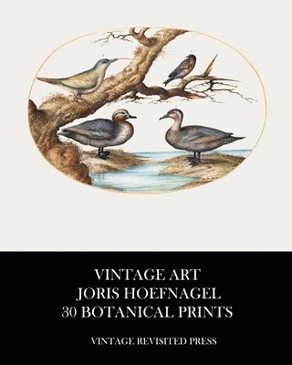 bokomslag Vintage Art: Joris Hoefnagel 30 Botanica