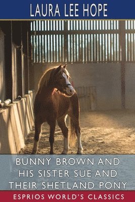 Bunny Brown And His Sister Sue And Their 1