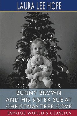 Bunny Brown And His Sister Sue At Christ 1