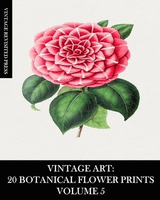 Vintage Art: 20 Botanical Flower Prints 1