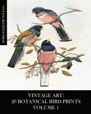 bokomslag Vintage Art: 20 Botanical Bird Prints Vo