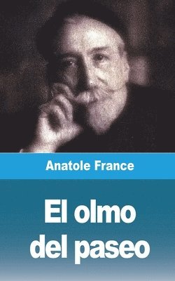El Olmo Del Paseo 1