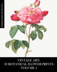 bokomslag Vintage Art: 20 Botanical Flower Prints Volume 4: Ephemera for Framing, Collage, Decoupage and Junk Journals
