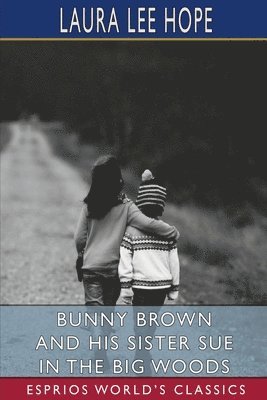Bunny Brown And His Sister Sue In The Bi 1
