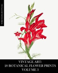 bokomslag Vintage Art: 20 Botanical Flower Prints Volume 3: Ephemera for Framing, Junk Journals, Mixed Media and Decoupage