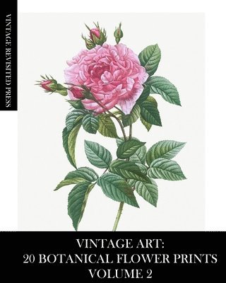 Vintage Art: 20 Botanical Flower Prints Volume 2: Ephemera for Framing, Collage and Decoupage 1