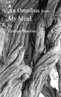 bokomslag Omnibus from My Mind