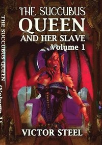bokomslag succubus queen