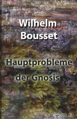 Wilhelm Bousset - Hauptprobleme der Gnosis, Häftad
