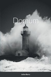 bokomslag Domum