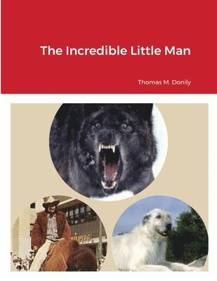 The Incredible Little Man 1