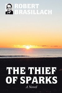 bokomslag The Thief of Sparks, A Novel