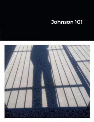 bokomslag Johnson 101