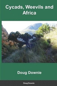 bokomslag Cycads, Weevils, and Africa