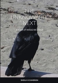 bokomslag Unknowable Next