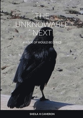 bokomslag Unknowable Next
