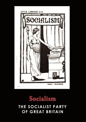 bokomslag Socialism