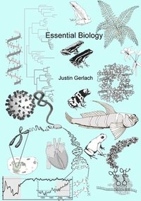bokomslag Essential Biology