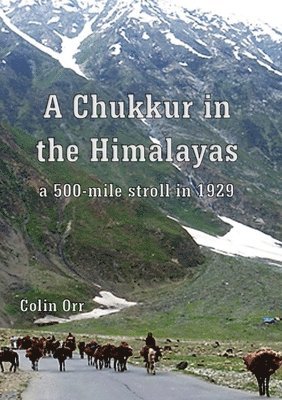 bokomslag A Chukkur in the Himalayas