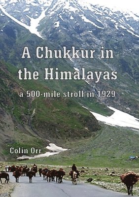 bokomslag Chukkur in the Himalayas