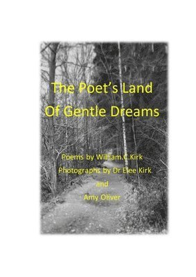 bokomslag Poet's Land of Gentle Dreams