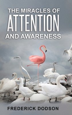 The Miracles of Attention and Awareness 1