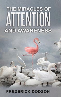 Miracles of Attention and Awareness