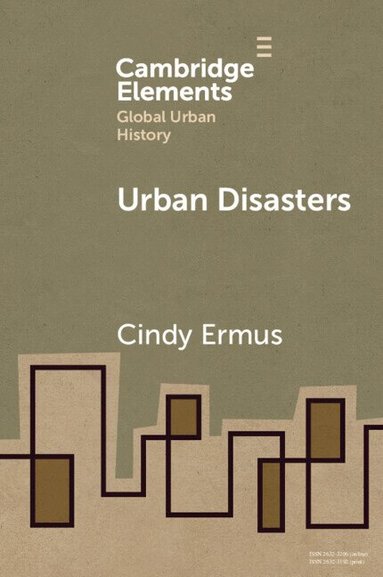 Cindy Ermus - Urban Disasters, Häftad