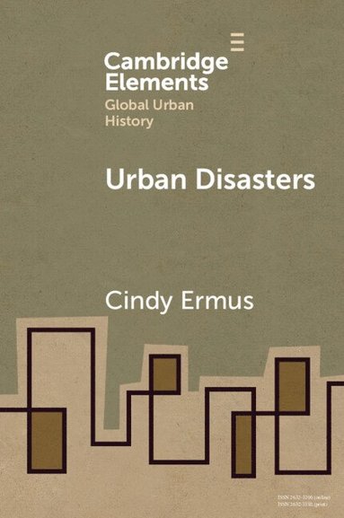 bokomslag Urban Disasters