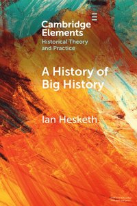 bokomslag A History of Big History