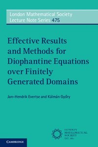bokomslag Effective Results and Methods for Diophantine Equations over Finitely Generated Domains