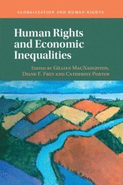 bokomslag Human Rights and Economic Inequalities