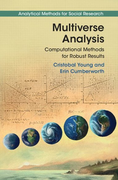 bokomslag Multiverse Analysis