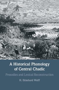 bokomslag A Historical Phonology of Central Chadic