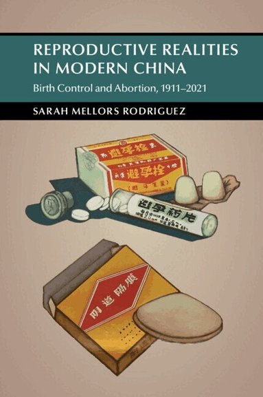 Sarah Mellors Rodriguez - Reproductive Realities in Modern China, Häftad